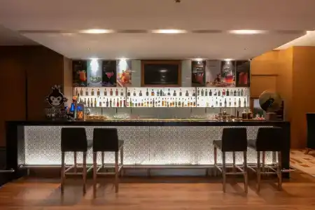 Holiday Inn Mumbai International Airport, An Ihg - 13