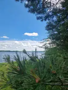 Боровое - 46