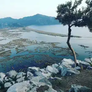 nİSh Carİa Boutique - 47