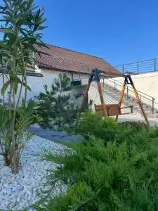 Павлония - 35