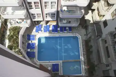 Rosella - 15