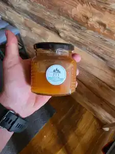 ТТТ Тевриз - 36