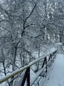 Ветлуга - 48