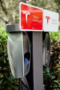 Grand Diana Majestic - 46