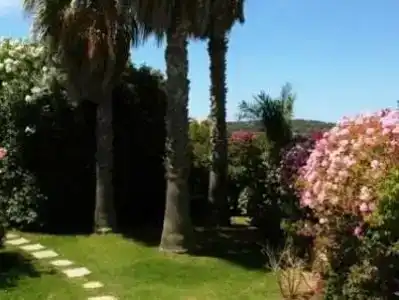 Residence Fenicia - 33