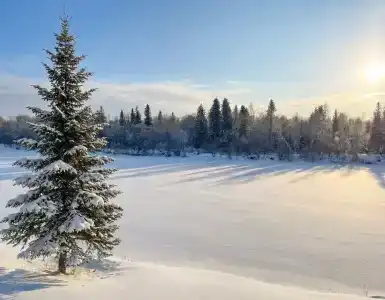 Солнечная заимка - 28