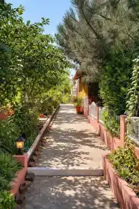 Лукулл - 31