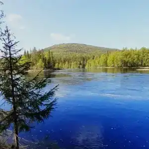 Рыболофф.ру - 16