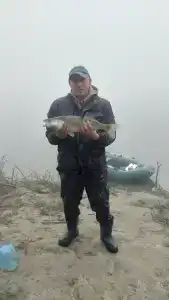 ТТТ Тевриз - 5