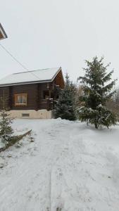 Nikolaevka Village - 33