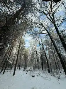 ПриродаРОДА - 17