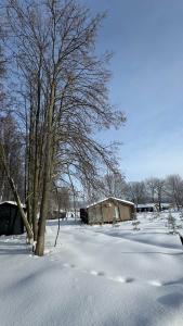 Отдельный дом барнхаус люкс большой до 8 гостей - 52