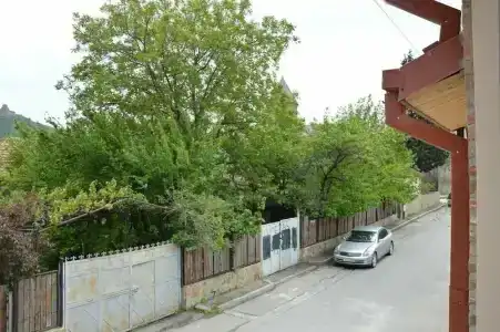 Bagineti - 9