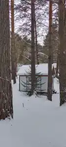 Синий утёс - 47