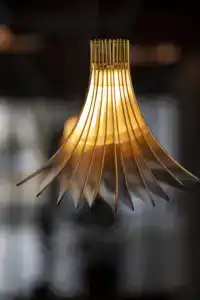 Paxton Barcelona - 23