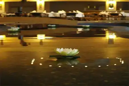 Wyndham Garden Donaueschingen - 11