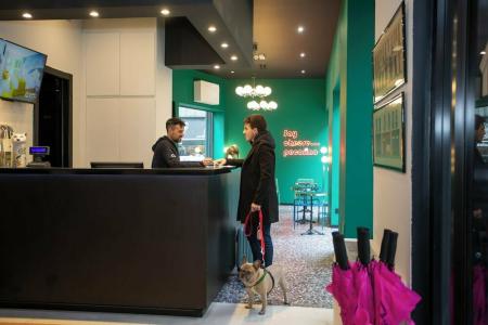 Demidoff Milano - 33