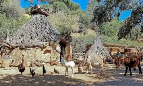 Arbatax Park Resort - Telis - 22