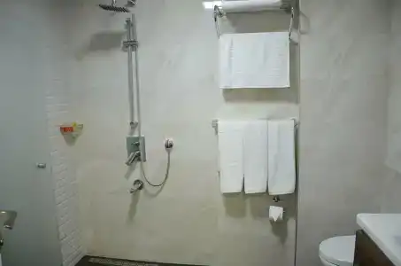 Safa Royal Museum - 29