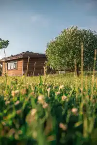 Сезоны - 9