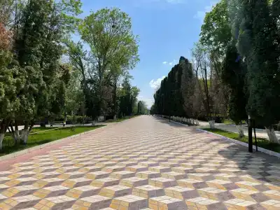 Сезон - 5