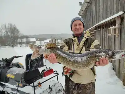 Торопаца Эко - 36