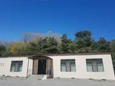 Cozy in Kazbegi - 8