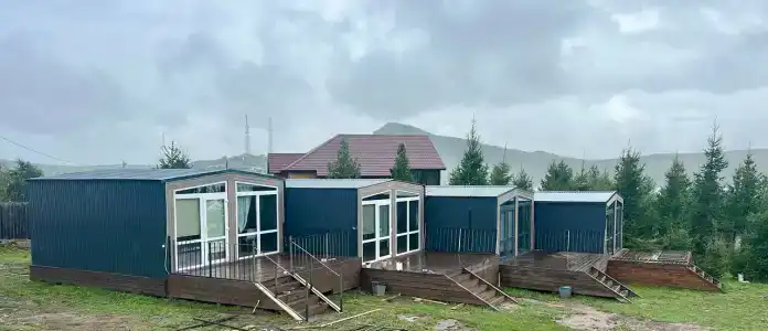 Оазис - 25