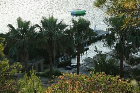 Golden Key Bordubet - 36