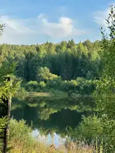 Лесная гармония - 47
