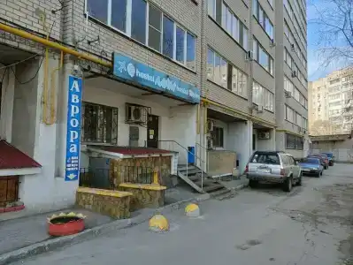 Лайм - 37