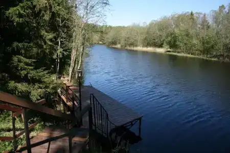 Аист - 9