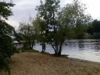 Бодрость - 76