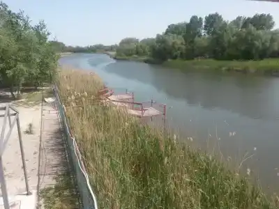 Лагутник - 22