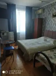 Дельфина - 49