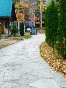 Лесной дом - 7