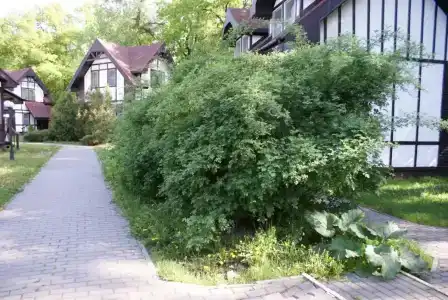 Марафон - 2