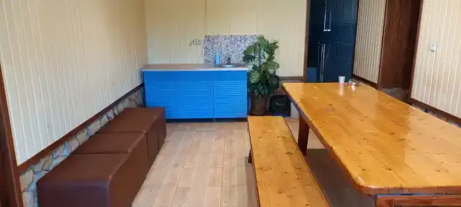 Любисток - 14