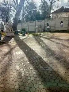 Мечта Тея - 68