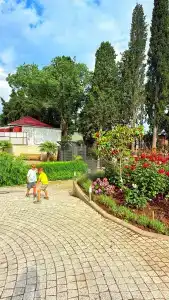 Роза мира - 10