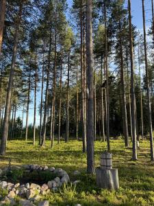 Karelia - 37