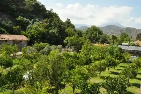 San Simon - 6