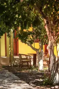 San Simon - 25