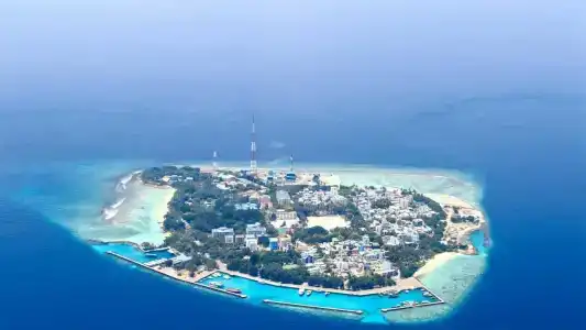 Samann Grand - 3