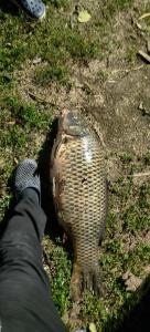 Fishing Club Ltd - 11