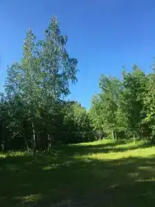 Конни - 12