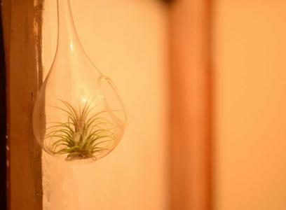 Hakone Guesthouse Toi - 38