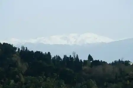 Simple Pleasures - 16