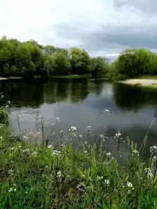 Мельница - 45