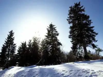 Avital Resort - 28